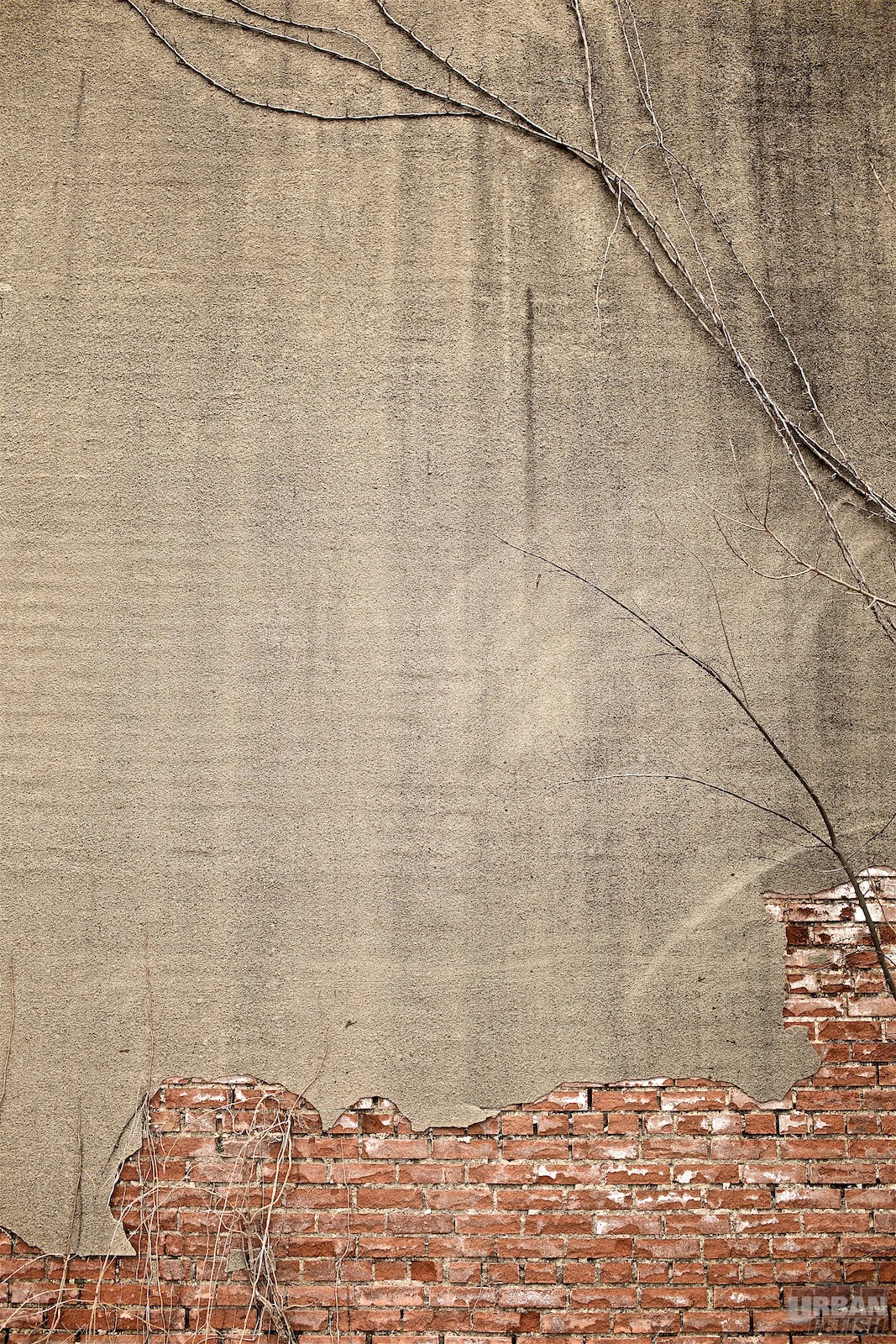 gallery1-abandoned19